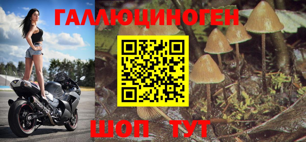 Новоалександровск  Галлюциногенные грибы MAGIC MUSHROOMS  Вход с VPN 