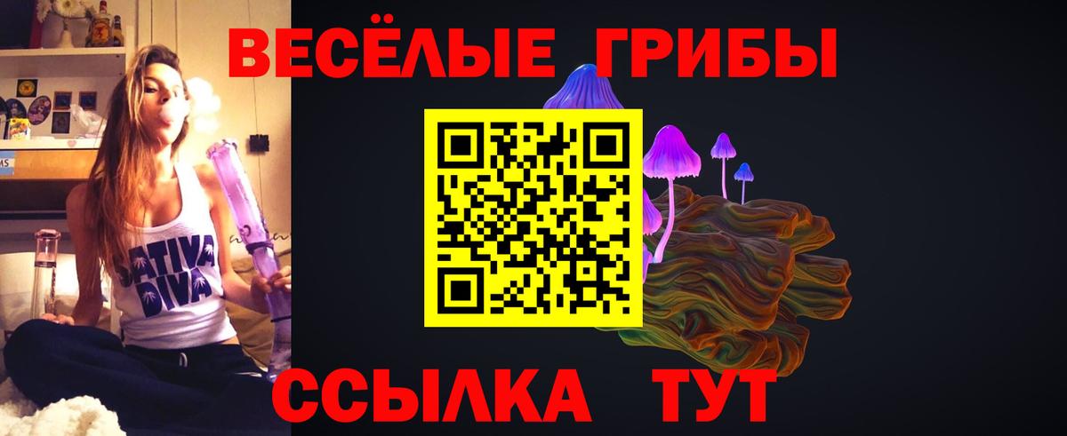 Псилоцибиновые грибы Magic Shrooms Новоалександровск